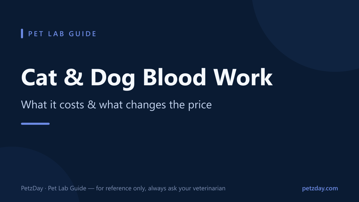 How Much Does Blood Work Cost for Cats & Dogs — title card