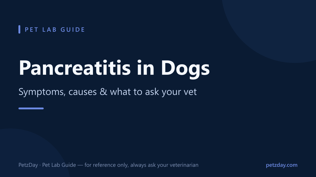 Pancreatitis in dogs — symptoms, causes and what to ask your vet