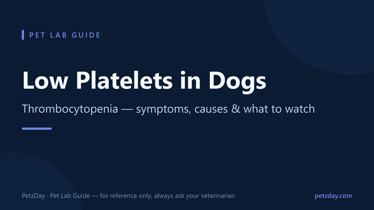 Low platelets in dogs — thrombocytopenia symptoms, causes and what to watch